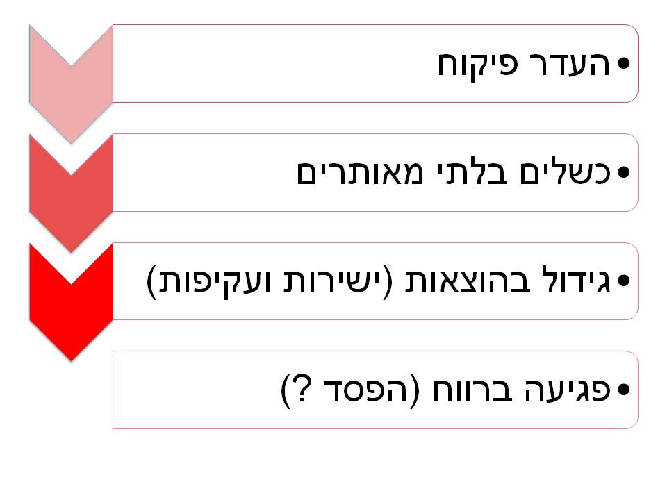 הקטנת הוצאות. הגדלת רווח. פיקוח